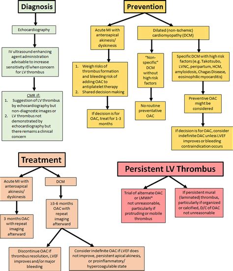 anticoagulation for lv thrombus|lv thrombus risk management.